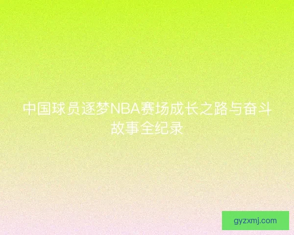 中国球员逐梦NBA赛场成长之路与奋斗故事全纪录